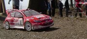 2010 - Petrův závodní speciál Peugeot 2O6 WRC